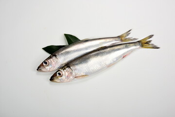 lots of Fresh whole Baltic herring Clupea harengus membras with green leaves on white background