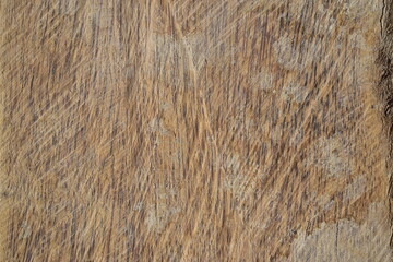 Fundo de tronco de coqueiro cortado, papel de parede rústico de madeira