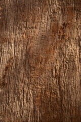 Textura de madeira em meia sombra e luz, fundo amadeirado de tronco antigo rústico 