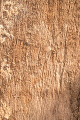 Detalhe de ripa de madeira laranja no sol, textura amadeirada de parede