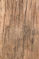 Naklejka premium Textura de madeira com veios profundos, papel de parede vintage e rústico 