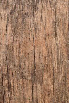 Textura de madeira velha e rachada em tons de marrom e laranja