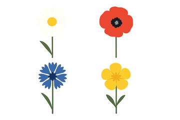 Four common wildflowers: daisy, poppy, cornflower, and buttercup isolated on white