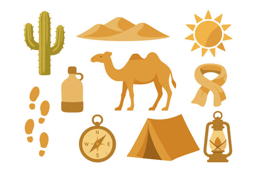 Desert survival and adventure elements including camel cactus sand dunes sun and camping equipment