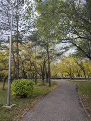 Autumn Tranquility Serene Park Path Through Trees with Golden Leaves and a Lamp Post View