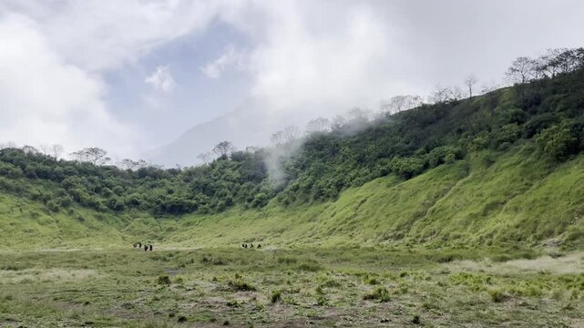 landscape green sabana of mountain 