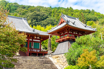 【奈良県】大和郡山市 矢田寺 (2025/10/14 撮影)