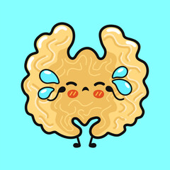Crying walnut character feeling sad emotion