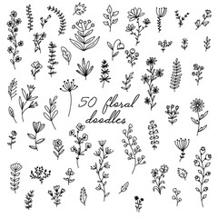 50 floral doodles line icons vector set. Vector illustration