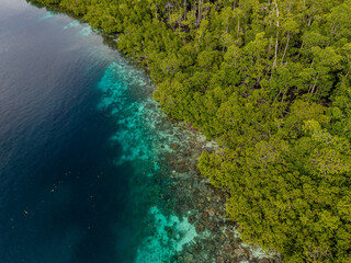 Aerial view of tropical island coastline with lush green forest, coral reefs, and turquoise water in Raja Ampat, Indonesia.  
