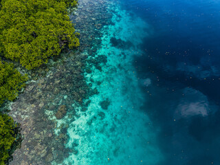 Aerial view of tropical islands and coral reefs surrounded by turquoise water in Raja Ampat, Indonesia.  
