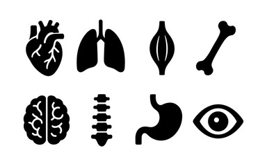 Obraz premium Set of black human anatomy icons including heart, lungs, muscle, bones, brain, spine, stomach, and eye. Flat silhouette style