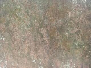 Abstract grungy weathered texture with green and brown moss