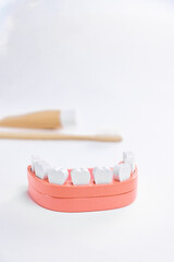 Dental hygiene theme with mock-up of skeleton of teeth and toothbrush.