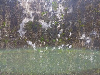 Heavy Dark Staining and Green Moss on Wall