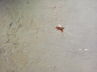 Old Dirty Weathered Wall Texture with Damage