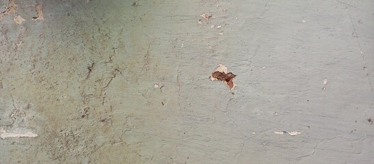 Old Dirty Weathered Wall Texture with Damage