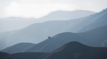 mountains in the fog