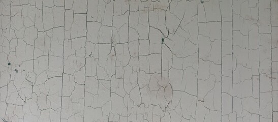 Severe Alligator Cracking Paint Surface Texture Background