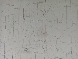 Severe Alligator Cracking Paint Surface Texture Background