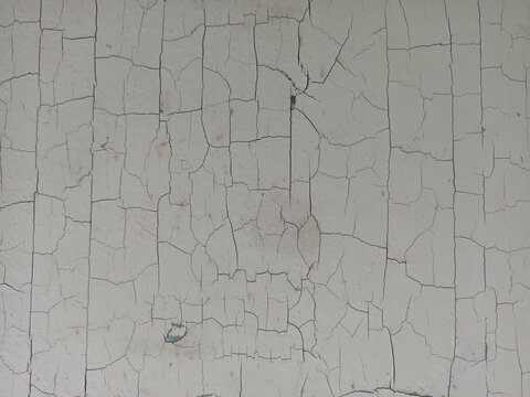 Severe Alligator Cracking Paint Surface Texture Background
