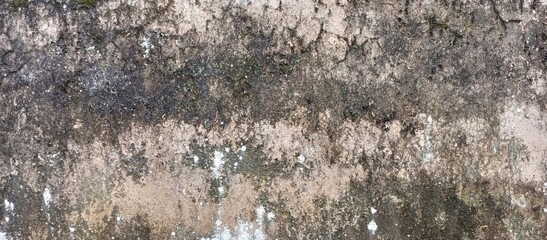Severe Damp and Mold on Dark Grunge Wall Texture © afjahiza