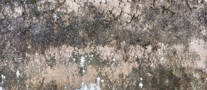 Severe Damp and Mold on Dark Grunge Wall Texture