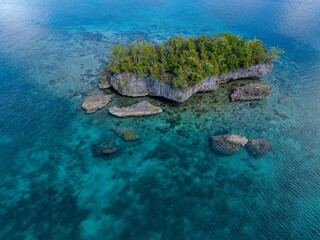 Aerial view of tropical island coastline with lush green forest, coral reefs, and turquoise water in Raja Ampat, Indonesia.  
