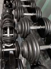 Obraz premium Dumbbells lined up in the gym