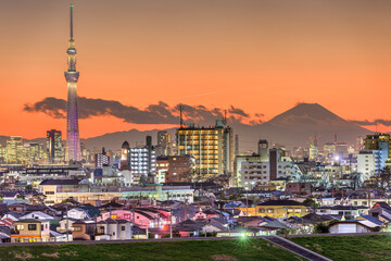 Tokyo, Japan skyline with Mt. Fuji and the Tower 552
