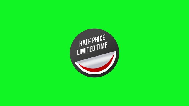 easter egg on green background