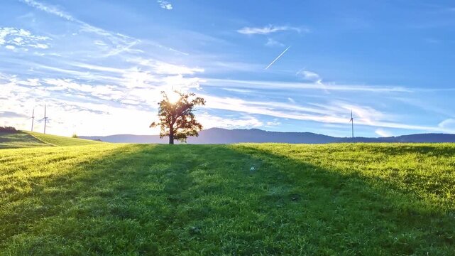 Gro&szlig;er freistehender Laubbaum mit herbstlich bunten Bl&auml;ttern auf gr&uuml;ner Wiese &ndash; beeindruckende Herbstlandschaft, Natur pur und Farbenpracht der Jahreszeit erleben, Umwelt, Idylle, Jahreszeit