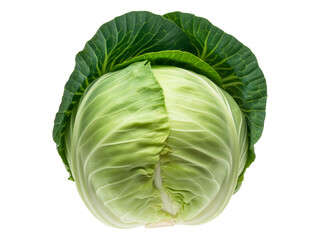 Obraz premium A high-resolution photograph of a fresh green cabbage head against a pure white background.