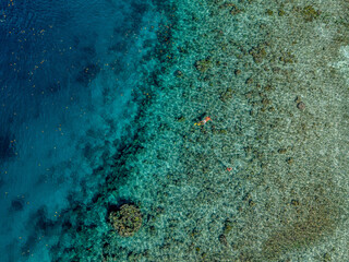 Aerial view of coral reef and clear turquoise water with snorkelers in Raja Ampat, Indonesia.
