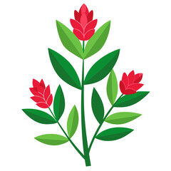 hebe red hugh on white background