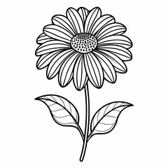 helenium chelsey line art flower on white background