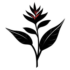 heliconia bourgaeana silhouette vector on white background