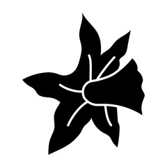 Filled style icon representing a star flower