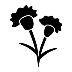 Glyph style icon showing carnation flowers