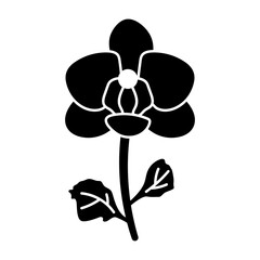 Glyph style icon showing an orchid flower