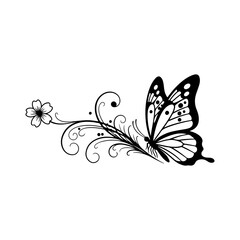 vector illustration of a butterfly