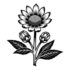 vector illustration of a sunflower