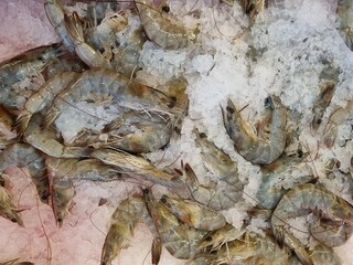 Fresh shrimp displayed on seafood counter surrounded by crushed ice for cooling