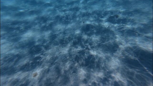 Diving Under Ocean caustics sunlight diving