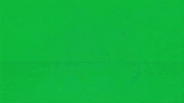 Close up view of a fuzzy bee with transparent wings on a solid green colored background image bee green screen video