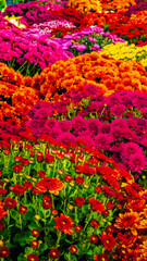 abstract colorful background