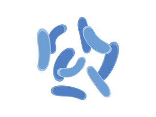 Lactobacillus Plantarum Illustration
