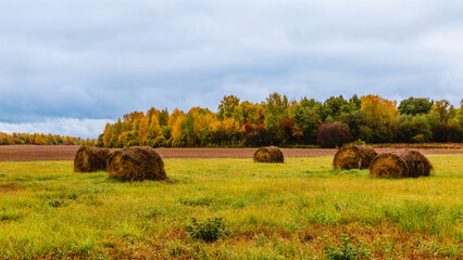 Fields of hay bales under overcast skies in autumn landscape with vibrant foliage.