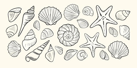 Collection of hand drawn line art seashells and starfish scattered on a light background