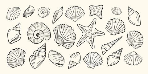 Collection of hand drawn seashells and starfish illustrations on a light background